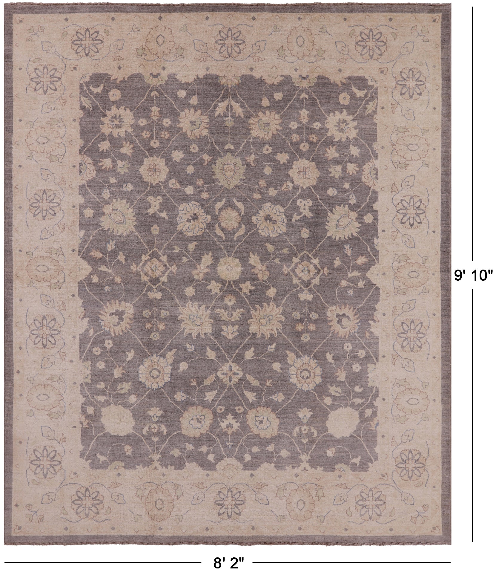 Grey Peshawar Hand-Knotted Wool Rug - 8' 2" X 9' 10" - Golden Nile
