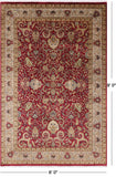 Red Persian Tabriz Hand Knotted Wool Rug - 6' 0" X 9' 0" - Golden Nile