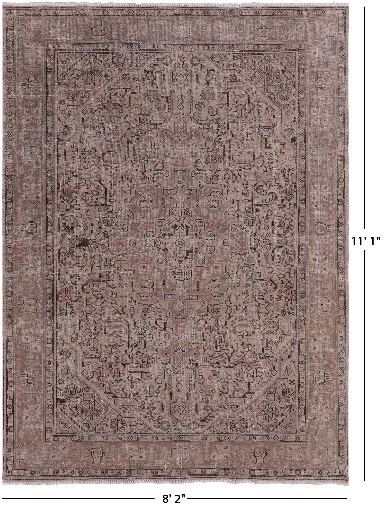 Persian Vintage White Wash Hand Knotted Wool Rug - 8' 2" X 11' 1" - Golden Nile