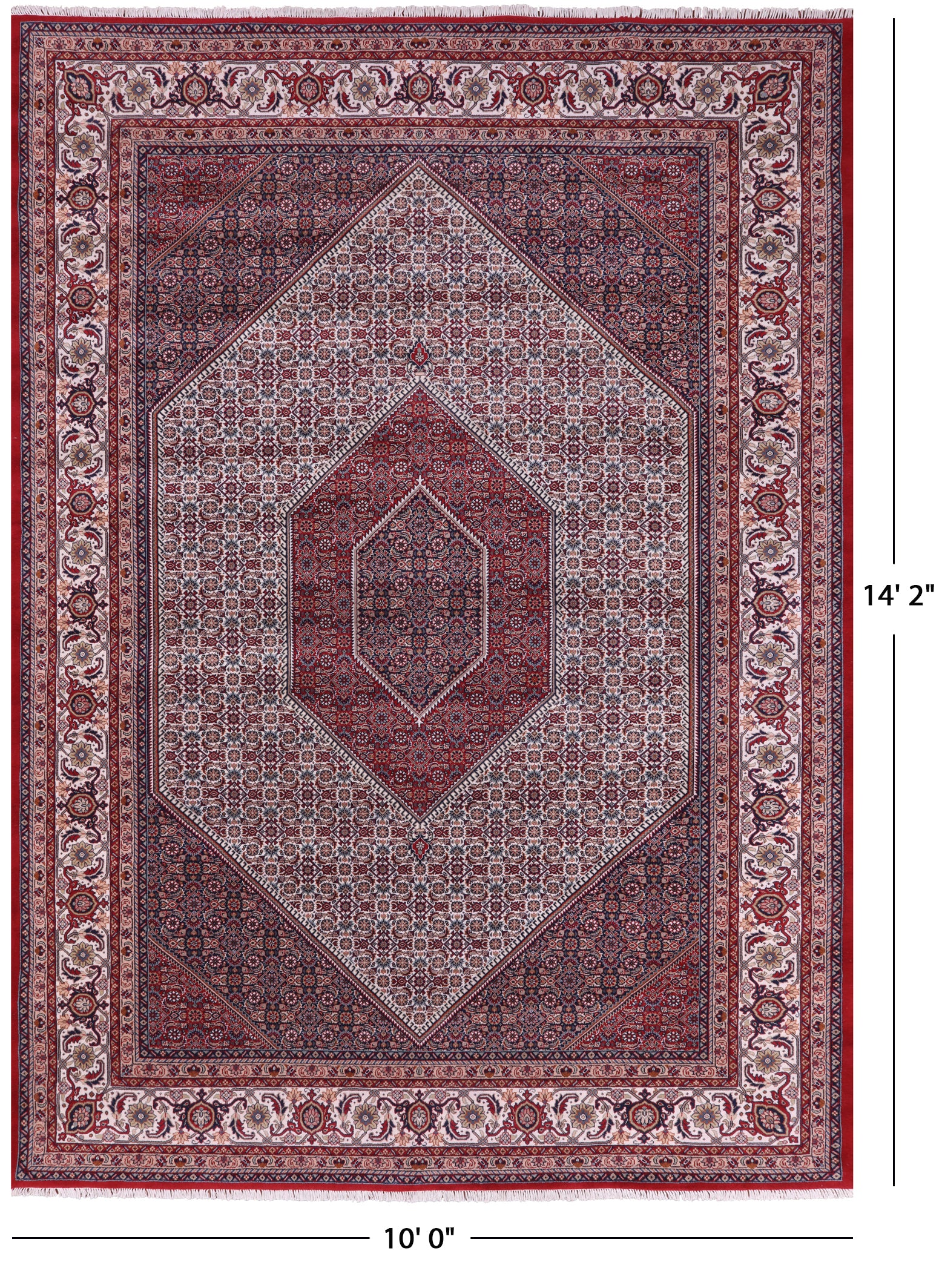 Red Persian Bijar Hand Knotted Wool Rug - 10' 0" X 14' 2" - Golden Nile