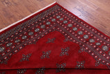 Red Bokhara Hand Knotted Wool Rug - 8' 0" X 9' 7" - Golden Nile