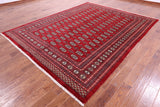 Red Bokhara Hand Knotted Wool Rug - 8' 2" X 10' 4" - Golden Nile