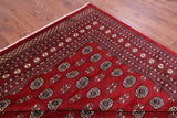 Red Bokhara Hand Knotted Wool Rug - 10' 2" X 13' 6" - Golden Nile