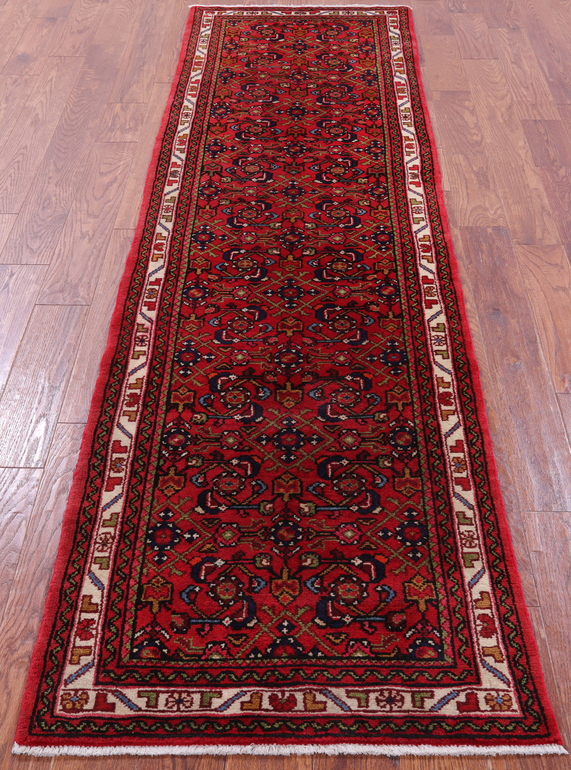 Authentic Persian Hamadan Hand Knotted Wool Runner Rug - 2' 8" X 9' 3" - Golden Nile