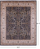 Black Persian Ziegler Hand Knotted Wool Rug - 8' 0" X 10' 1" - Golden Nile