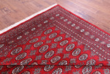 Red Bokhara Hand-Knotted Wool Rug - 8' 0" X 10' 4"