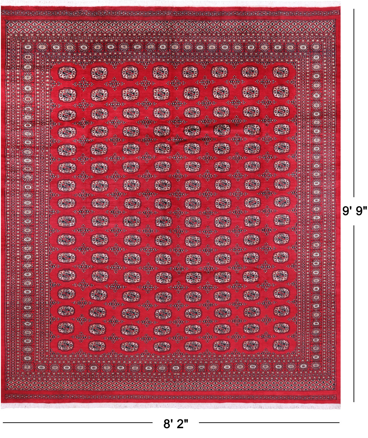 Red Bokhara Handmade Wool Rug - 8' 2" X 9' 9"