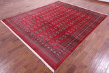 Red Bokhara Handmade Wool Rug - 8' 2" X 9' 9"