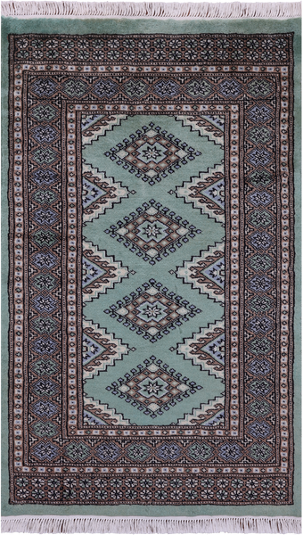 Green Bokhara Hand-Knotted Wool Rug - 2' 8" X 4' 4"