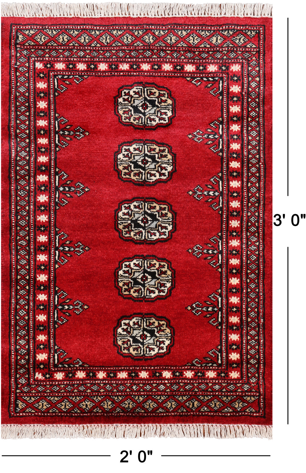 Red Bokhara Hand Knotted Wool Rug - 2' 0" X 3' 0"