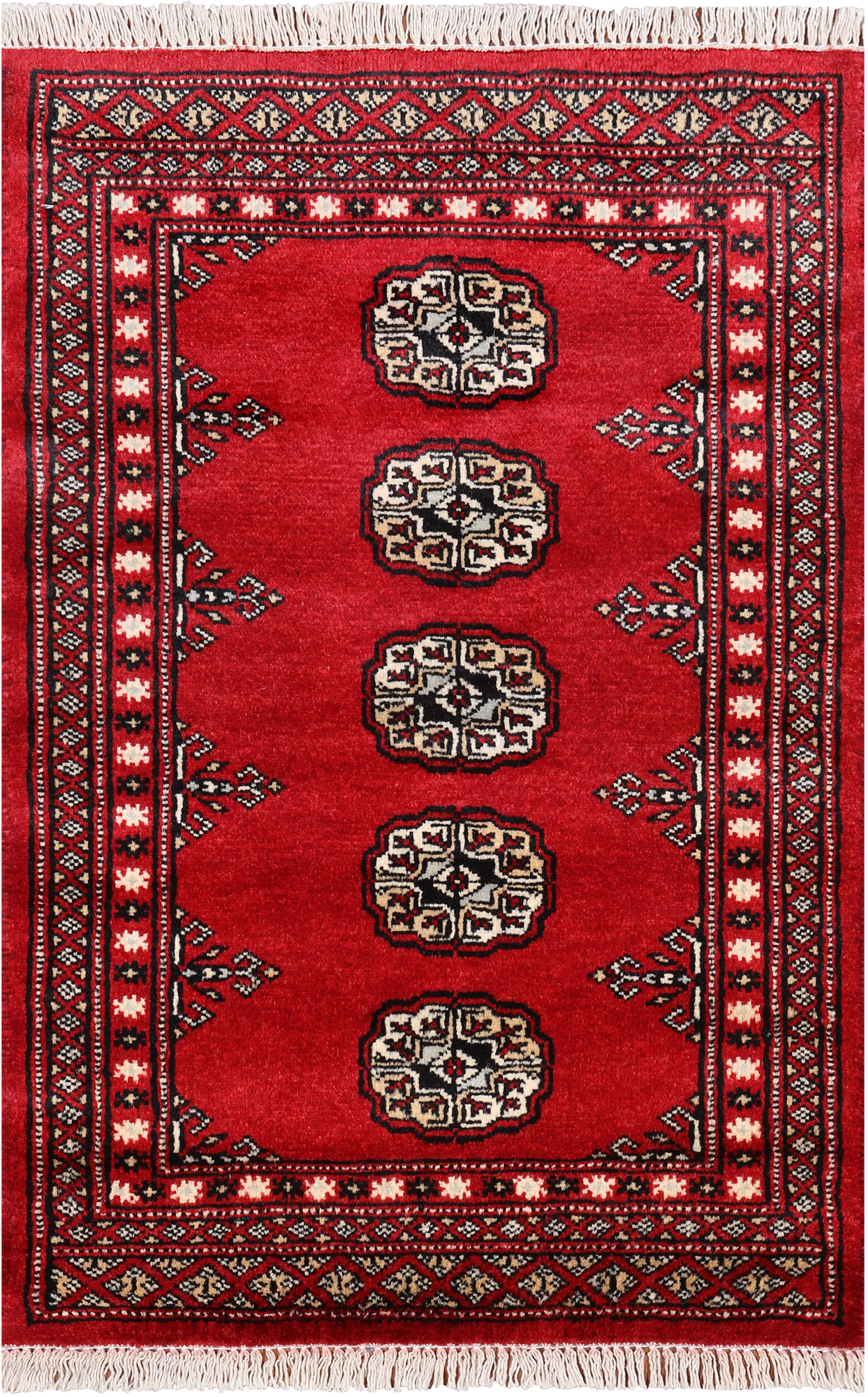 Red Bokhara Hand Knotted Wool Rug - 2' 0" X 3' 0"