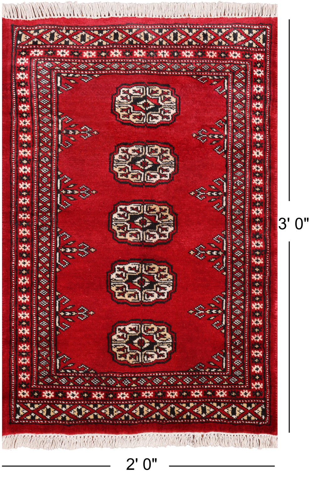 Red Bokhara Hand Knotted Wool Rug - 2' 0" X 3' 0"