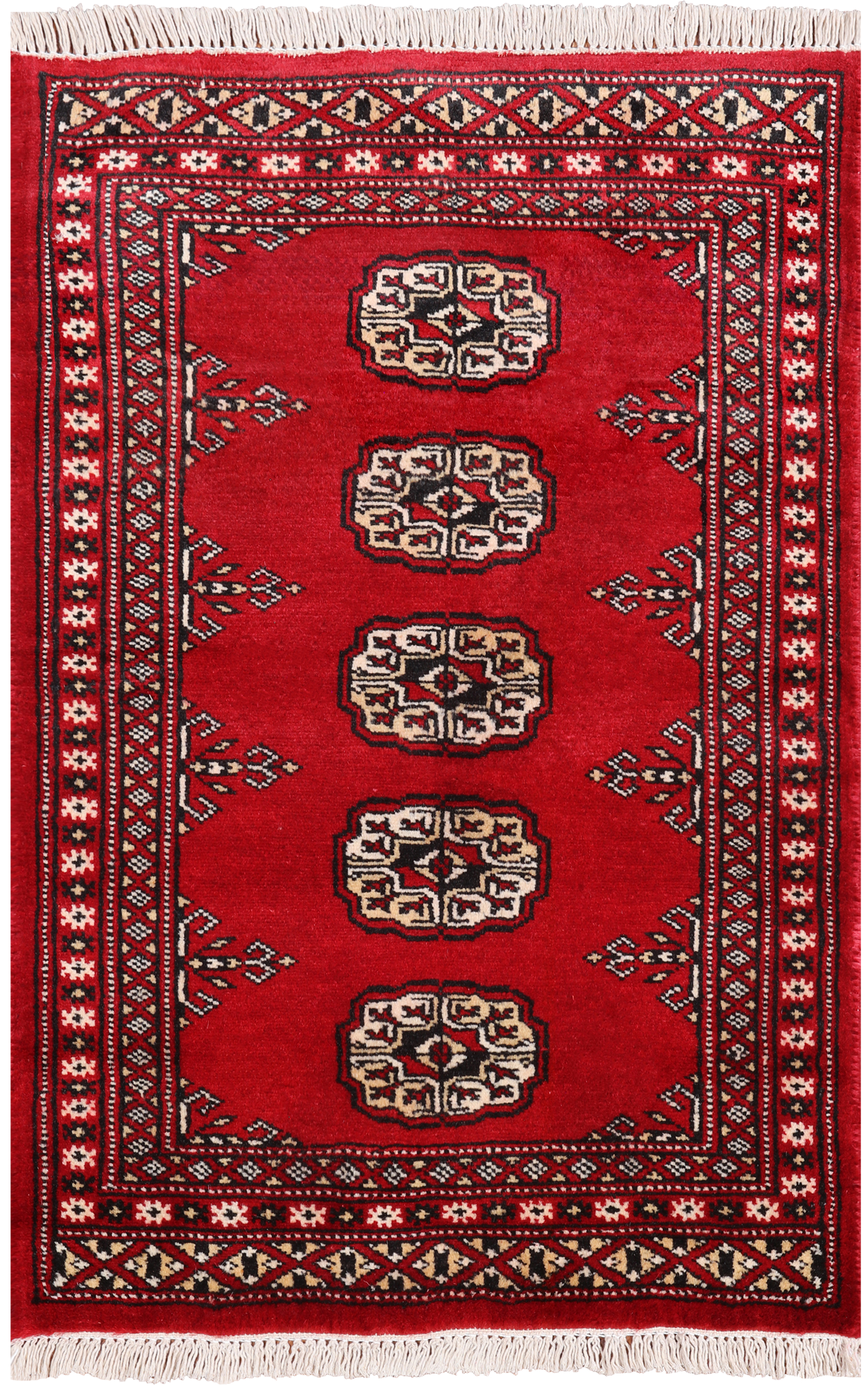 Red Bokhara Hand Knotted Wool Rug - 2' 0" X 3' 0"
