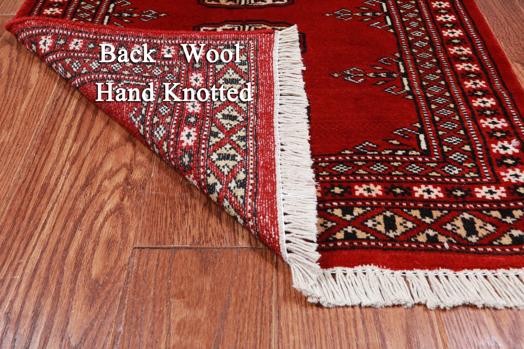 Red Bokhara Hand Knotted Wool Rug - 2' 0" X 3' 0"