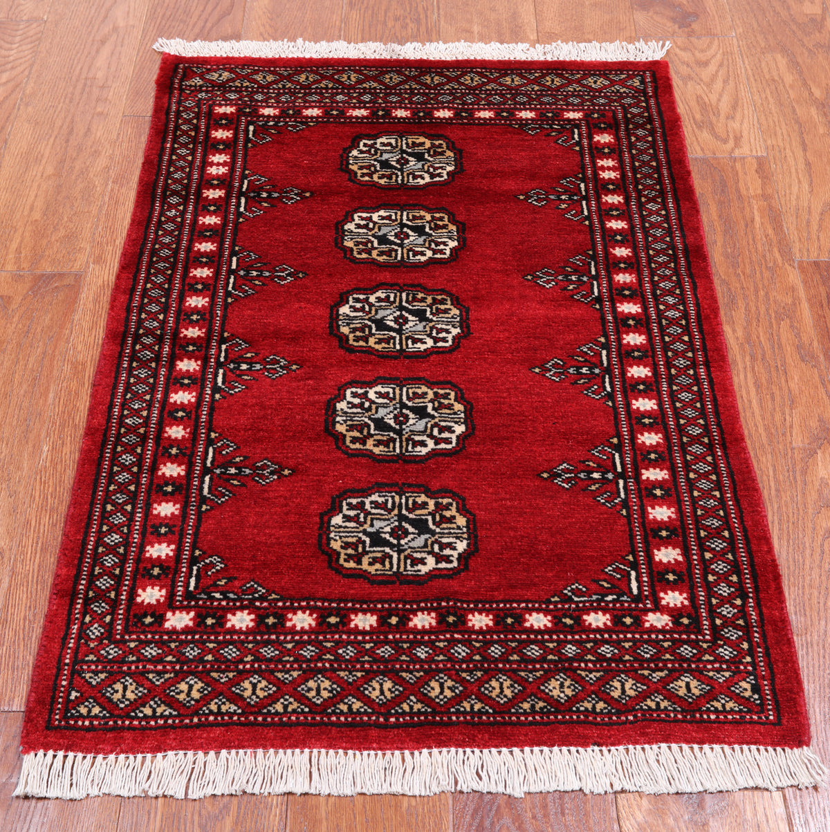 Red Bokhara Hand Knotted Wool Rug - 2' 0" X 3' 0"