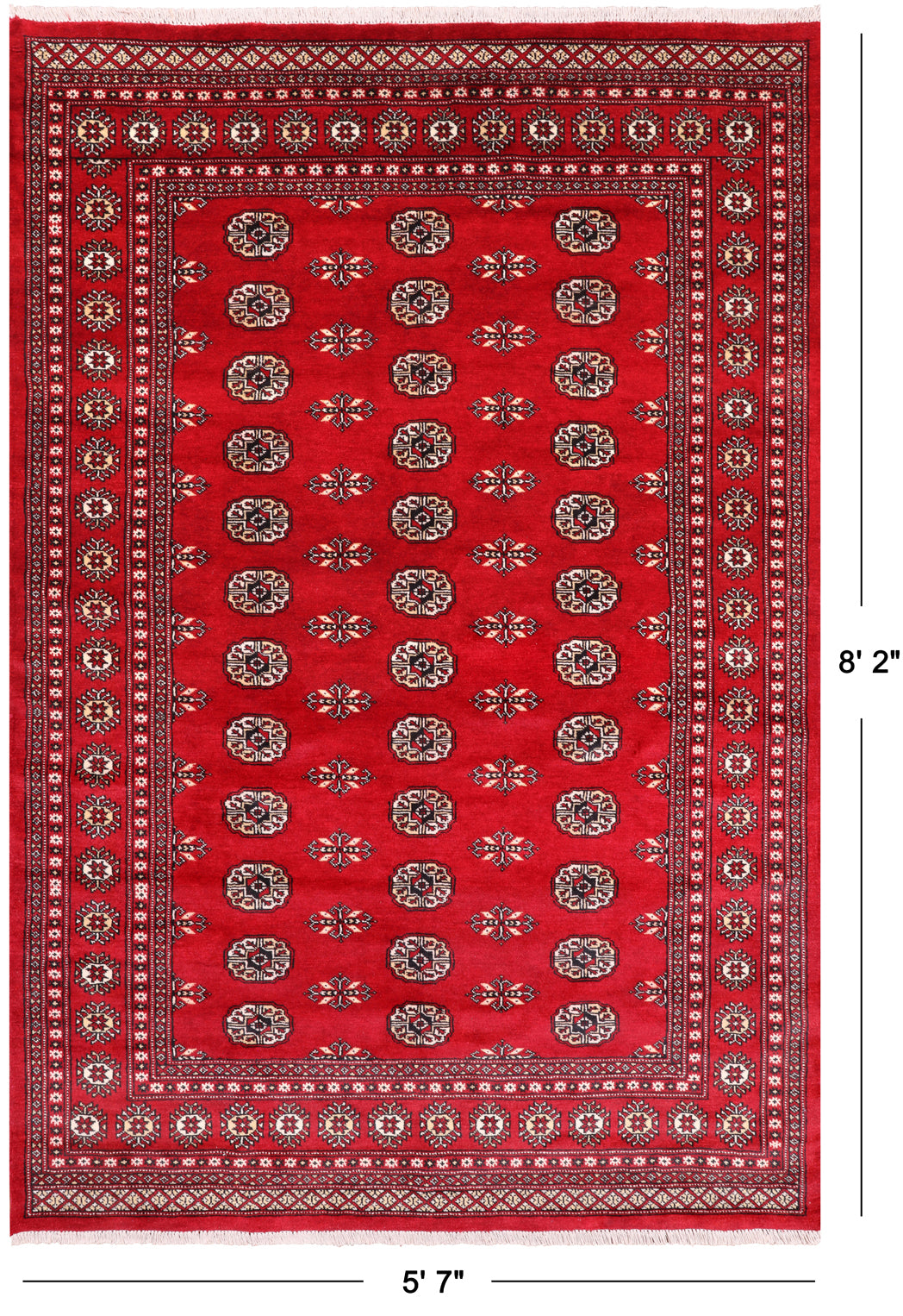 Red Bokhara Hand Knotted Wool Rug - 5' 7" X 8' 2"