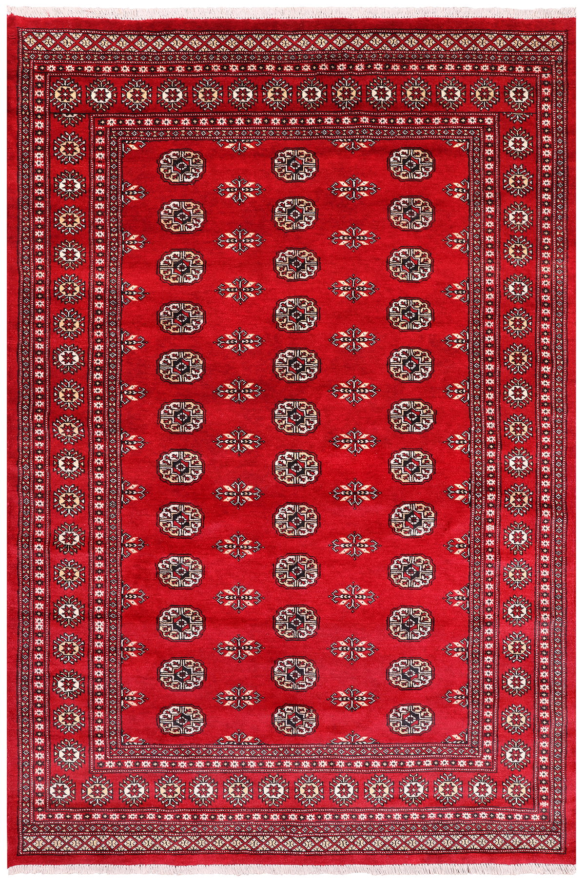 Red Bokhara Hand Knotted Wool Rug - 5' 7" X 8' 2"