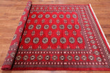 Red Bokhara Hand Knotted Wool Rug - 5' 7" X 8' 2"