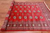 Red Bokhara Hand-Knotted Wool Rug - 5' 8" X 7' 10"