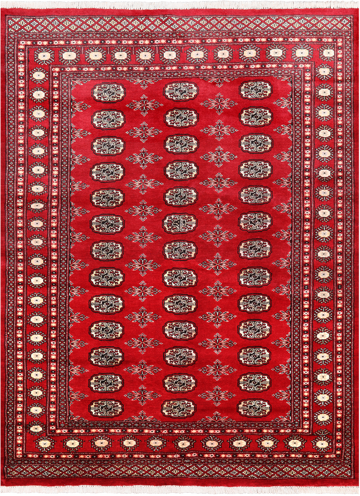 Red Bokhara Hand Knotted Wool Rug - 5' 7" X 7' 9"