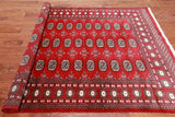 Red Bokhara Hand Knotted Wool Rug - 5' 7" X 7' 9"