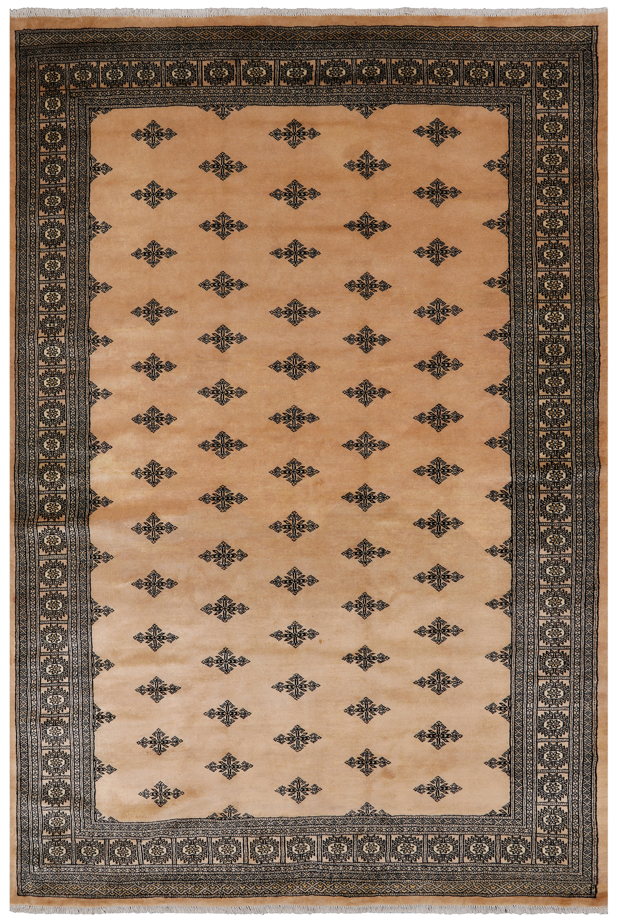 Beige Bokhara Hand-Knotted Wool Rug - 6' 2" X 9' 1"