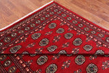 Red Bokhara Hand Knotted Wool Rug - 6' 2" X 8' 9"