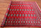 Red Bokhara Handmade Wool Rug - 6' 2" X 8' 8"