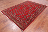 Red Bokhara Hand-Knotted Wool Rug - 6' 1" X 8' 10"