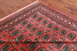 Pink Bokhara Handmade Wool Rug - 6' 7" X 10' 2"