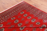Red Bokhara Hand Knotted Wool Rug - 8' 0" X 9' 10"