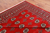 Red Bokhara Handmade Wool Rug - 8' 2" X 10' 6"