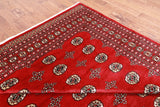 Red Bokhara Handmade Wool Rug - 8' 0" X 10' 2"