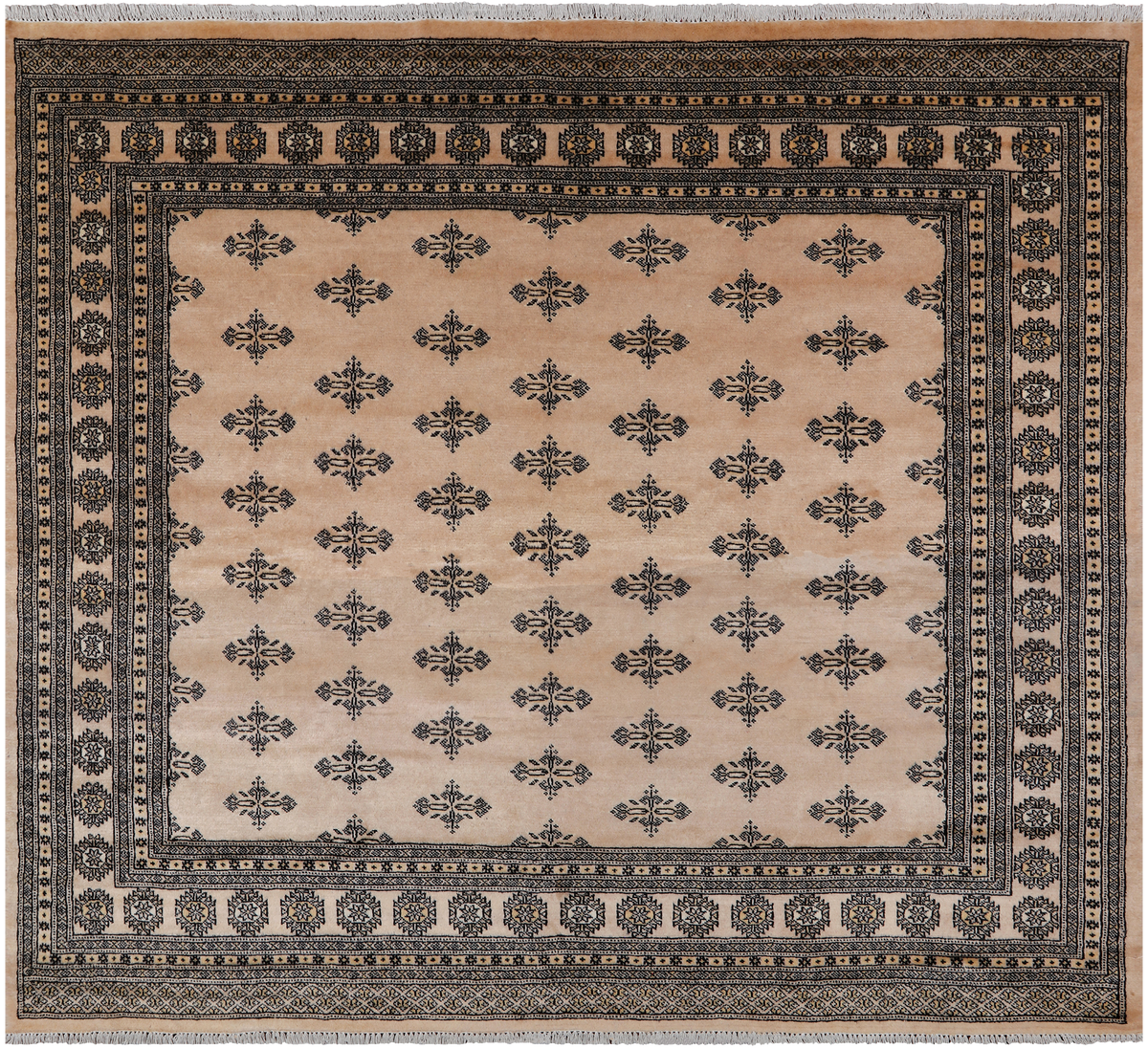 Beige Bokhara Hand-Knotted Wool Rug - 7' 8" X 6' 9"