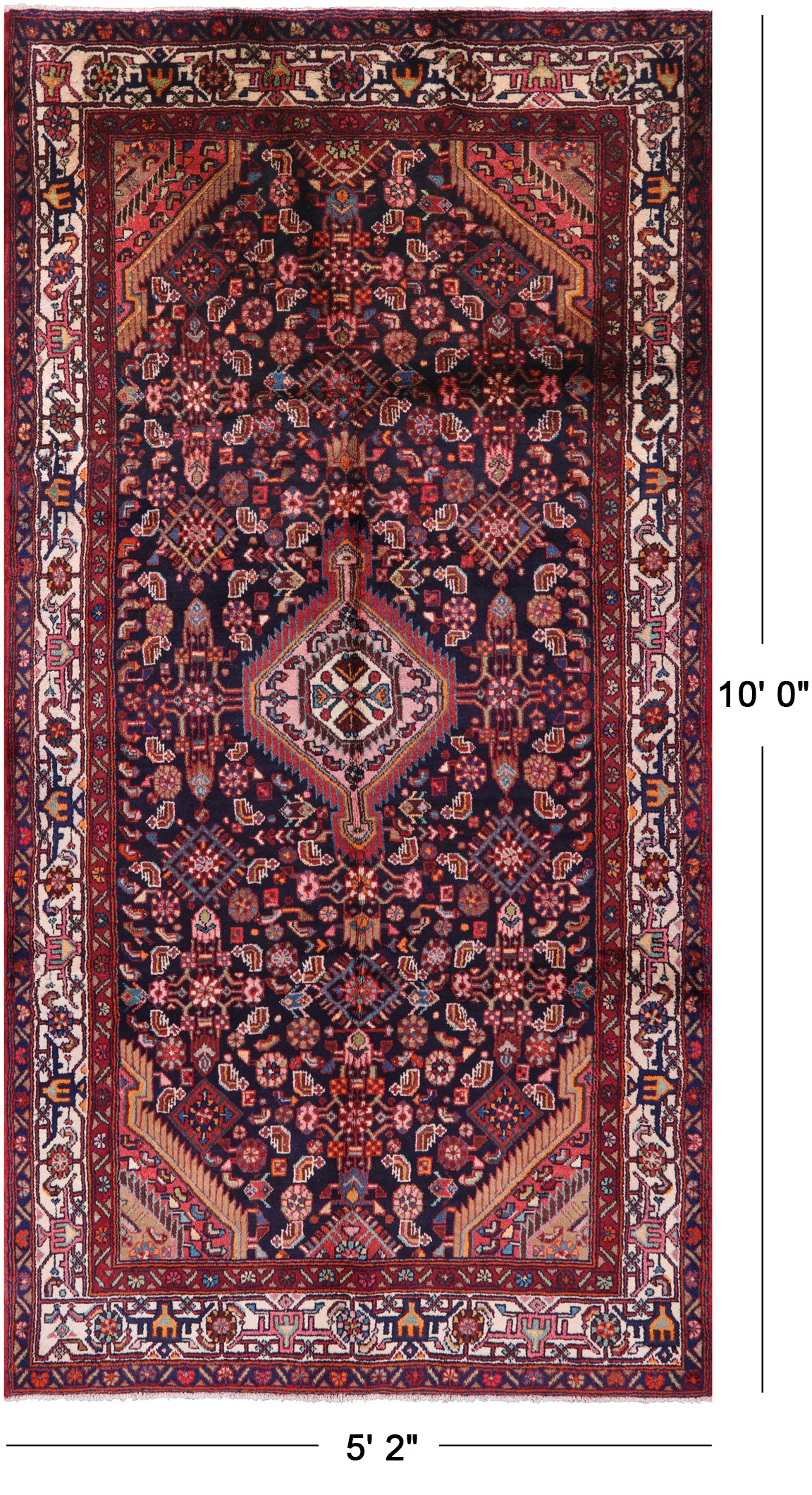 New Persian Hamadan Handmade Area Rug - 5' 2" X 10' 0" - Golden Nile
