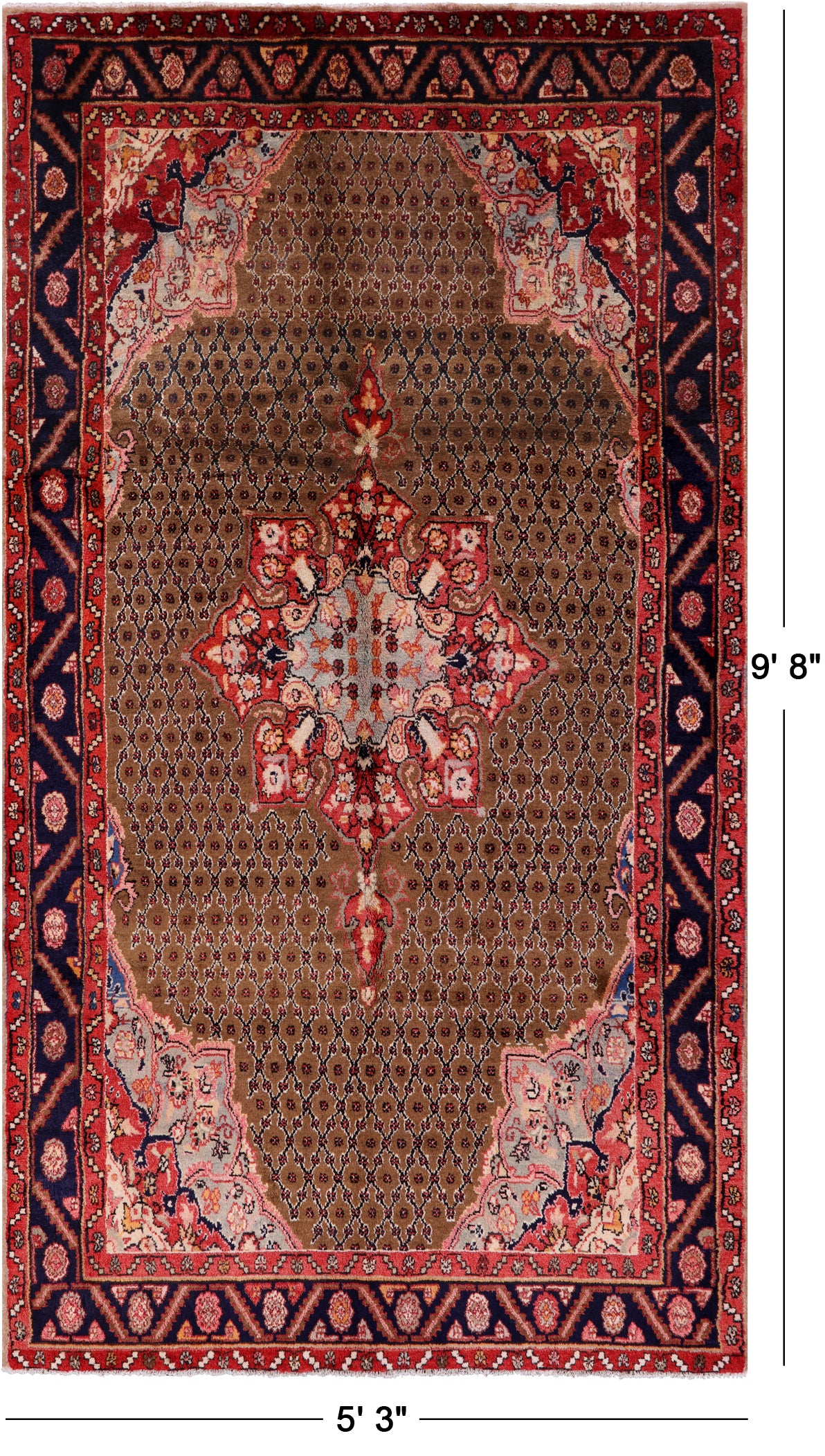New Persian Hamadan Hand Knotted Area Rug - 5' 3" X 9' 8" - Golden Nile