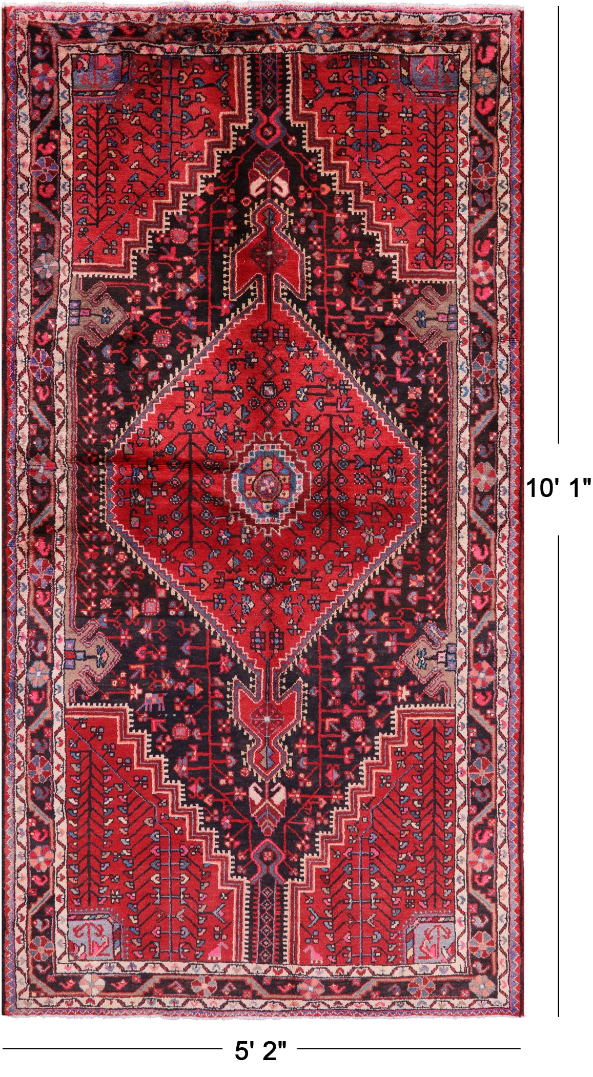 New Authentic Nahavand Persian Area Rug - 5' 2" X 10' 1" - Golden Nile