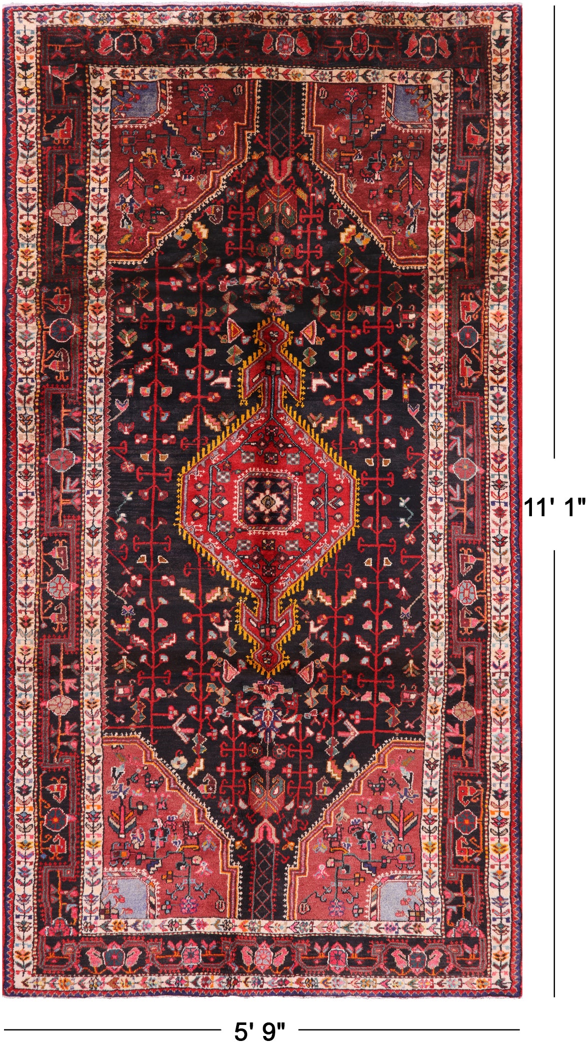 Authentic Nahavand Area Rug - 5' 9" X 11' 1" - Golden Nile
