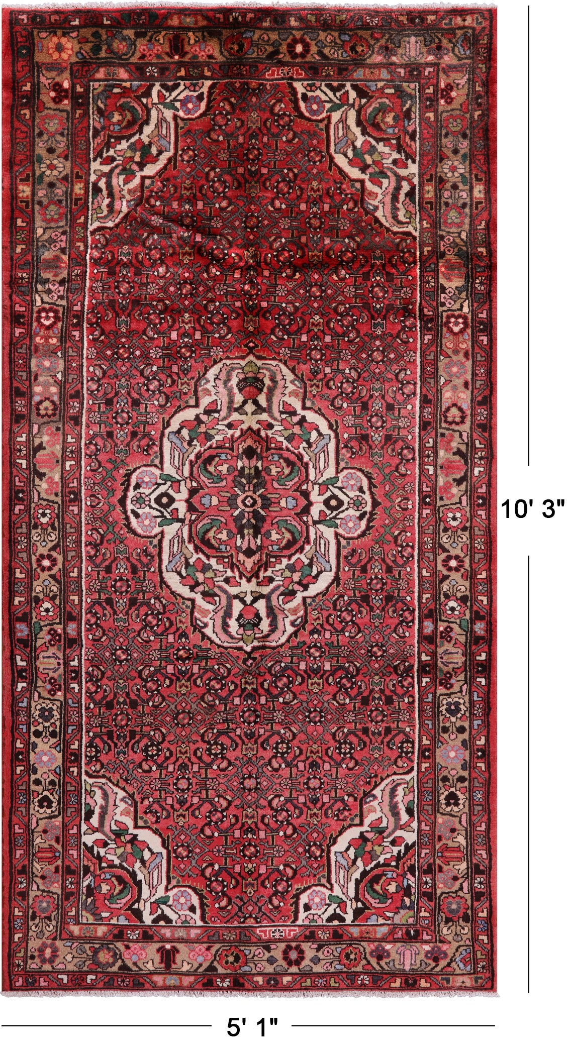 Red New Authentic Persian Hamadan Rug - 5' 1" X 10' 3" - Golden Nile