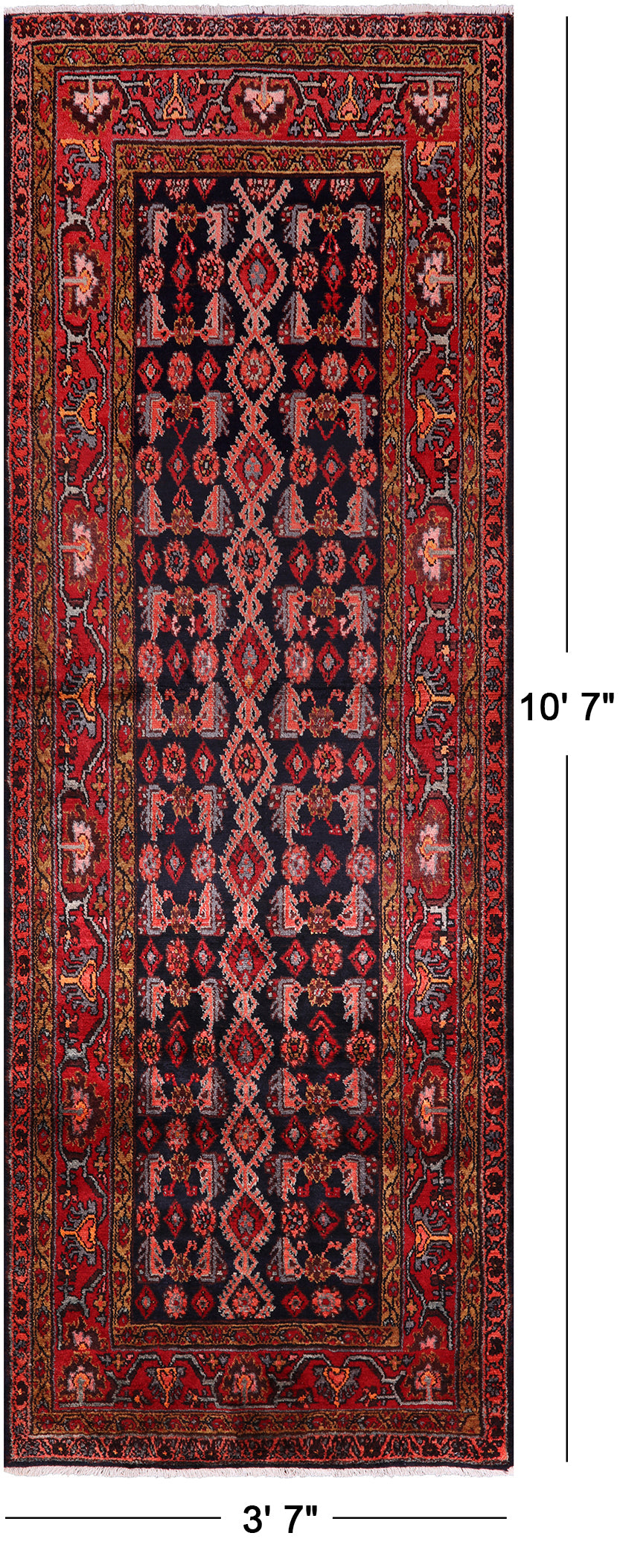 New Authentic Persian Hamadan Runner Rug - 3' 7" X 10' 7" - Golden Nile