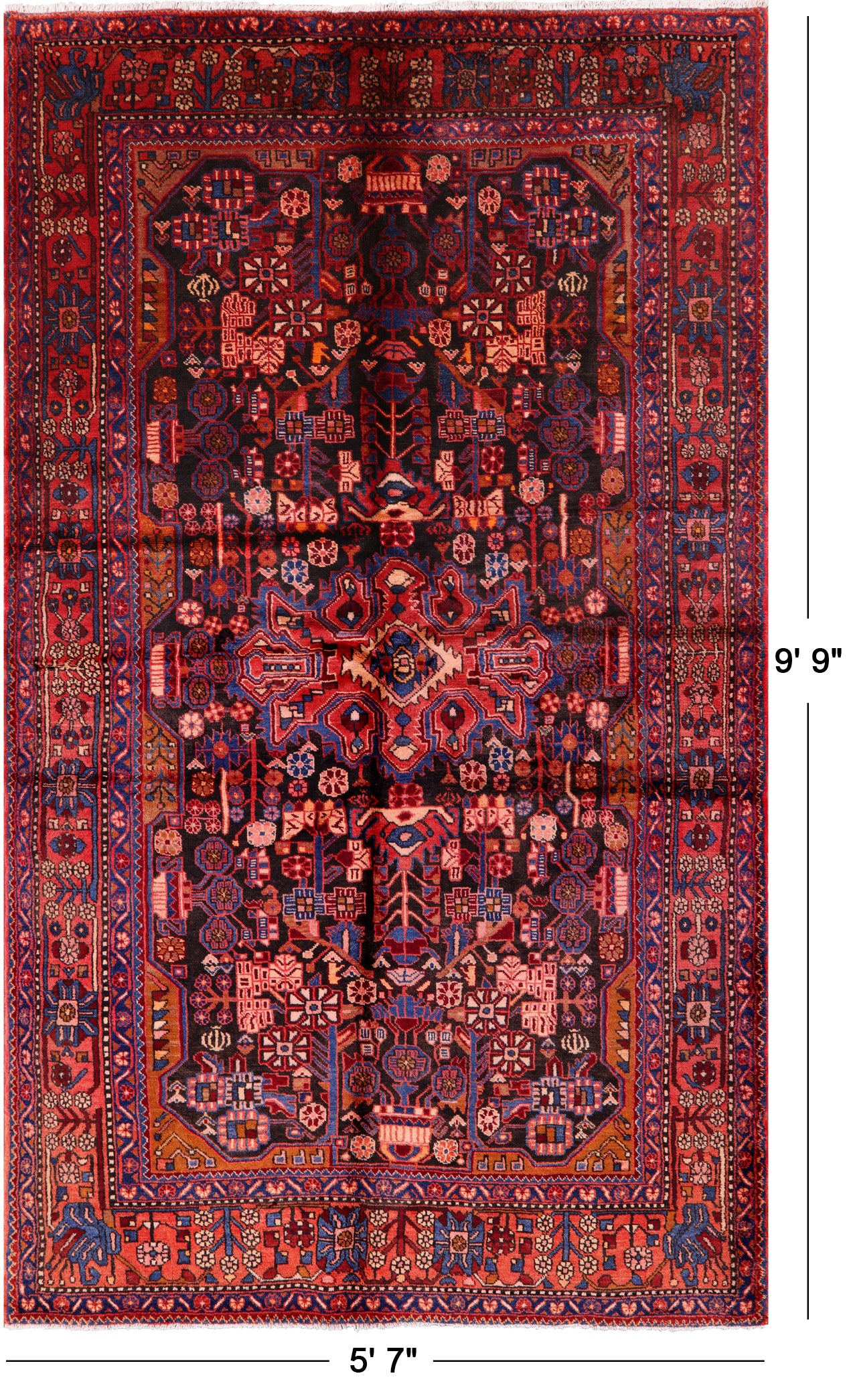 Black New Authentic Persian Nahavand Hand Knotted Rug - 5' 7" X 9' 9" - Golden Nile