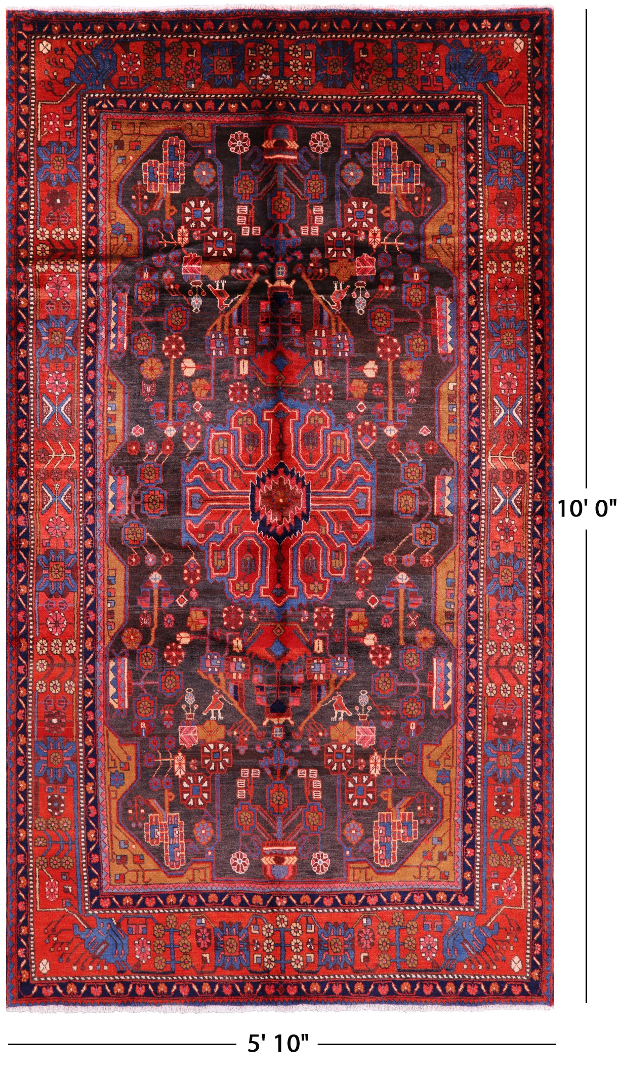 New Authentic Persian Nahavand Hand Knotted Rug - 5' 10" X 10' 0" - Golden Nile