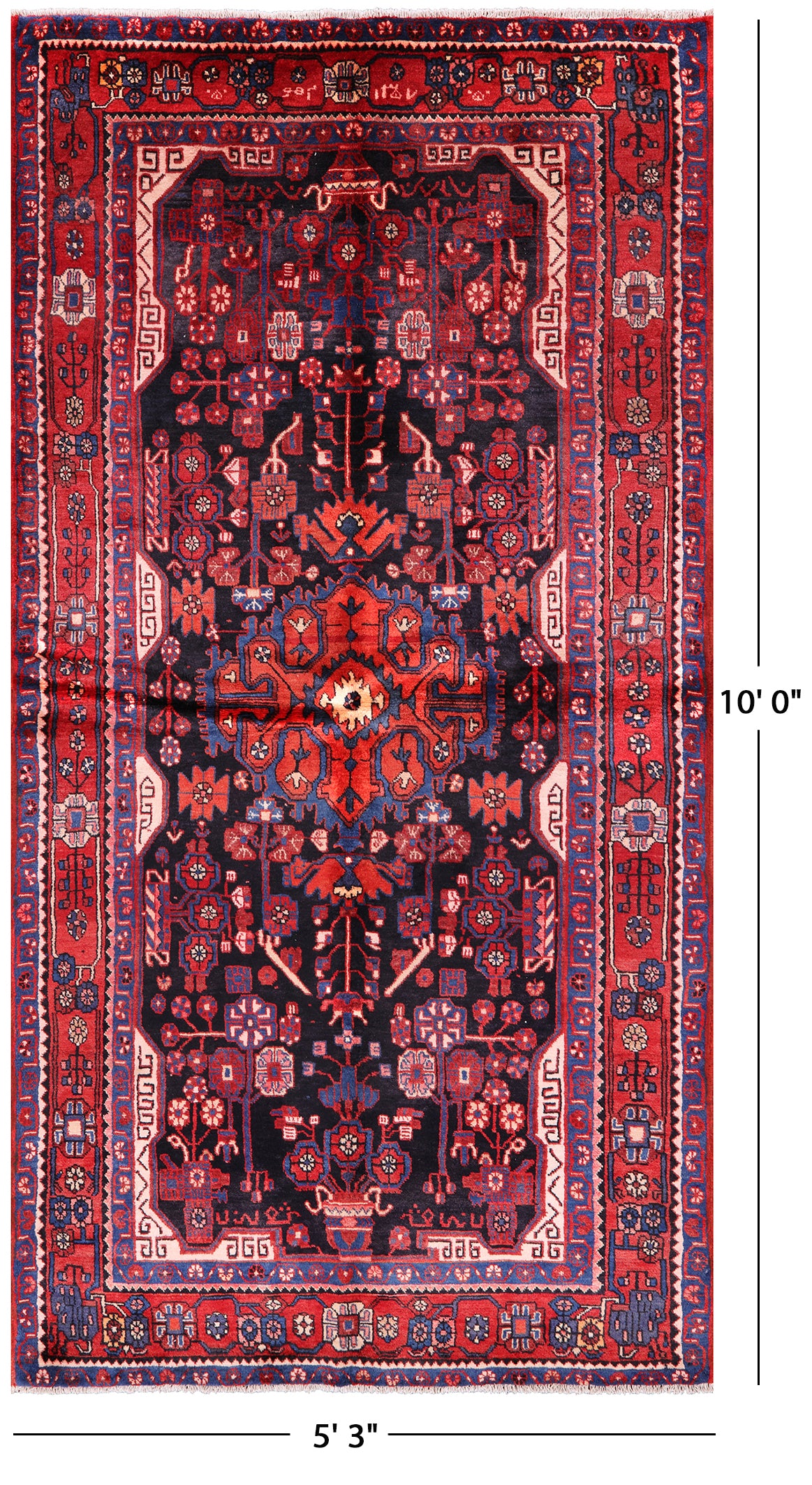 New Persian Authentic Hamadan Rug - 5' 3" X 10' - Golden Nile