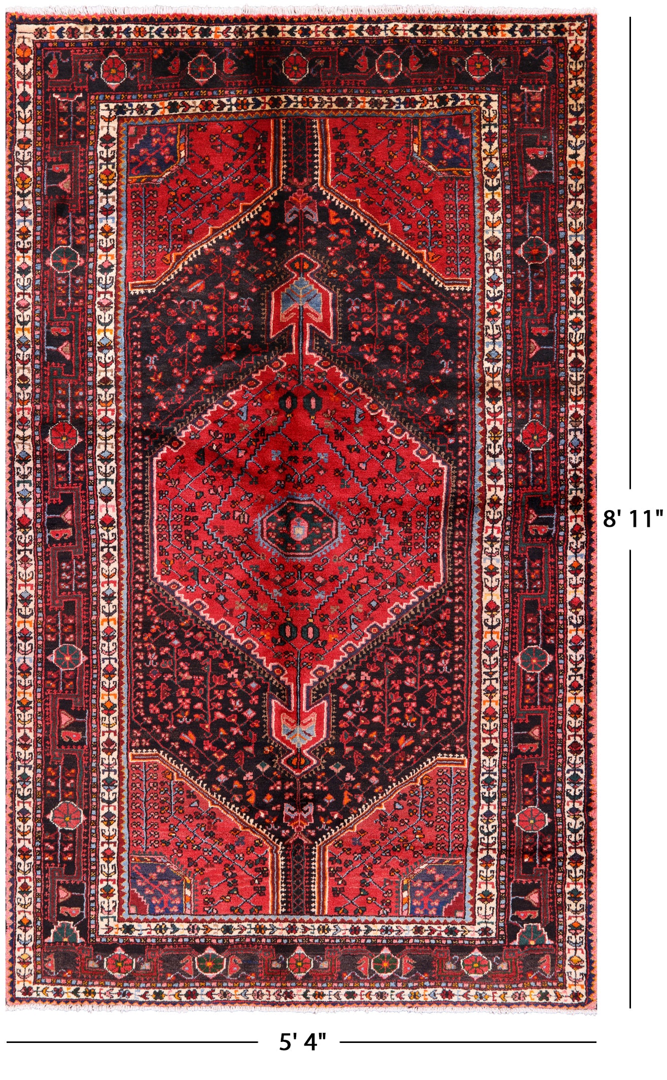 Black New Authentic Persian Hamadan Wool Rug - 5' 4" X 8' 11" - Golden Nile