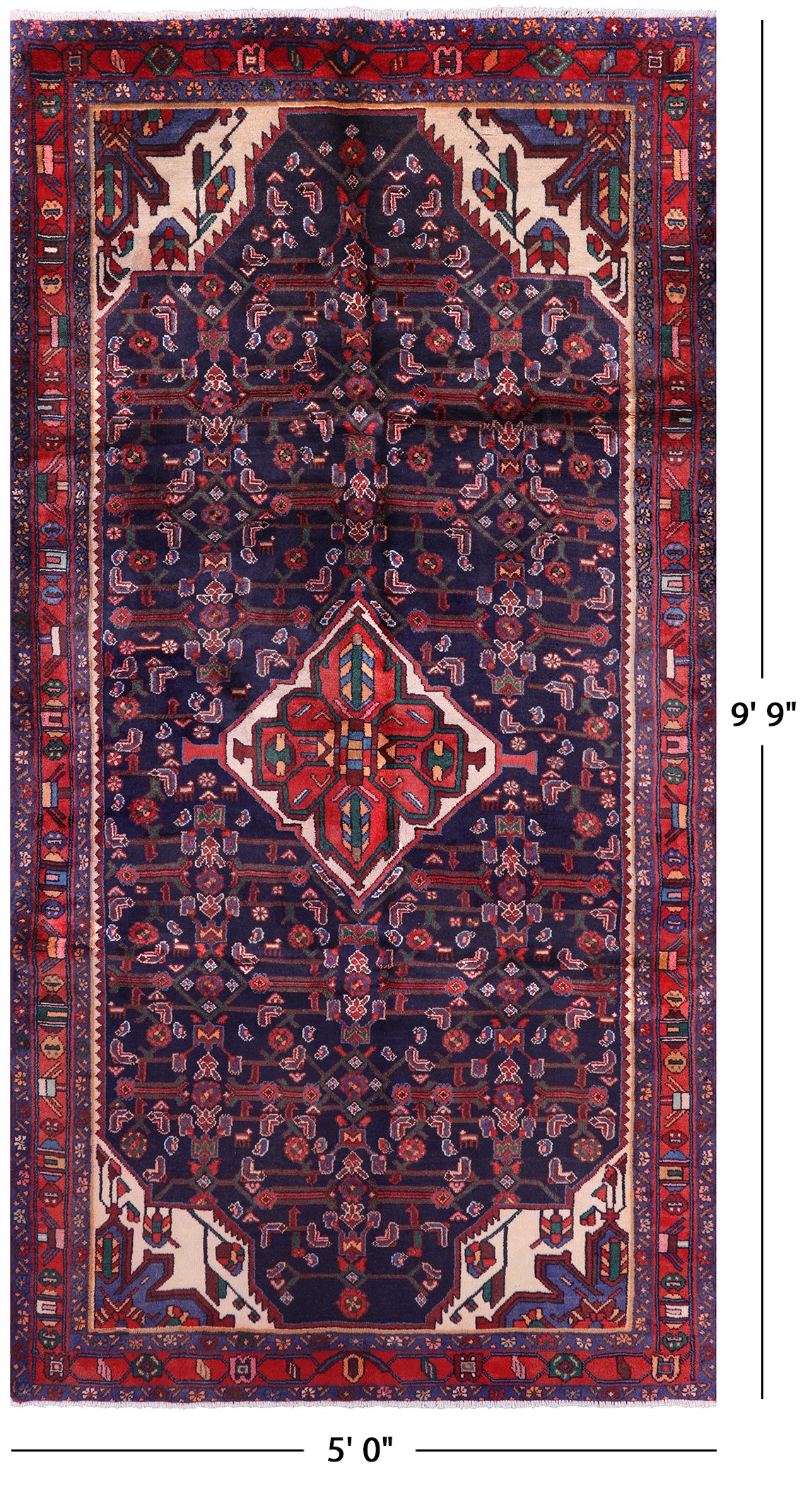 New Authentic Persian Hamadan Hand Knotted Rug - 5' 0" X 9' 9" - Golden Nile