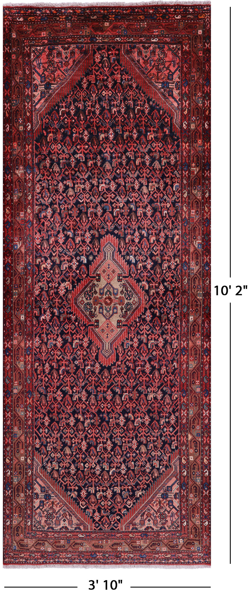 New Authentic Persian Hamadan Runner Rug - 3' 10" X 10' 2" - Golden Nile