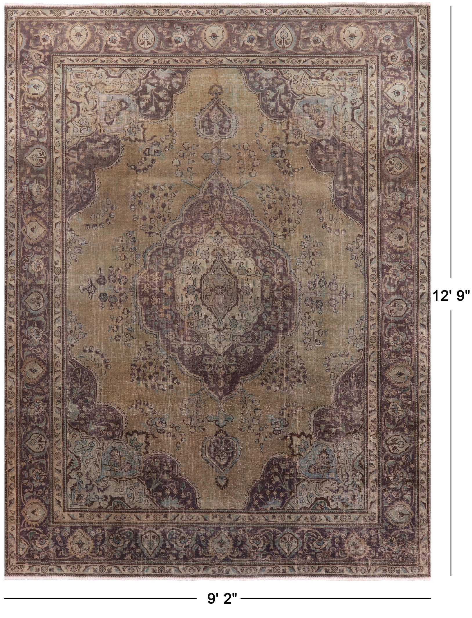 Persian Overdyed Hand Knotted Wool Rug - 9' 2" X 12' 9" - Golden Nile