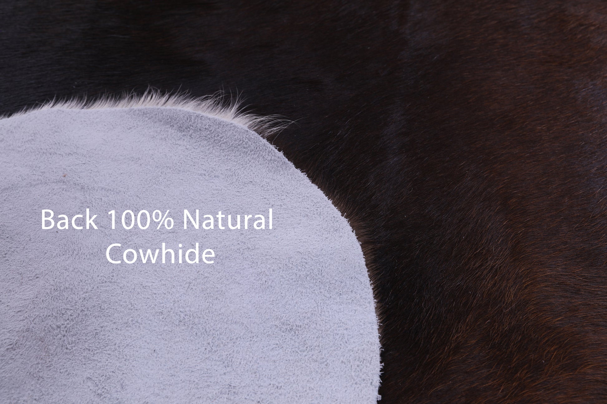 Natural Hair-On Cowhide Rug - 7' 2" X 5' 11" - Golden Nile