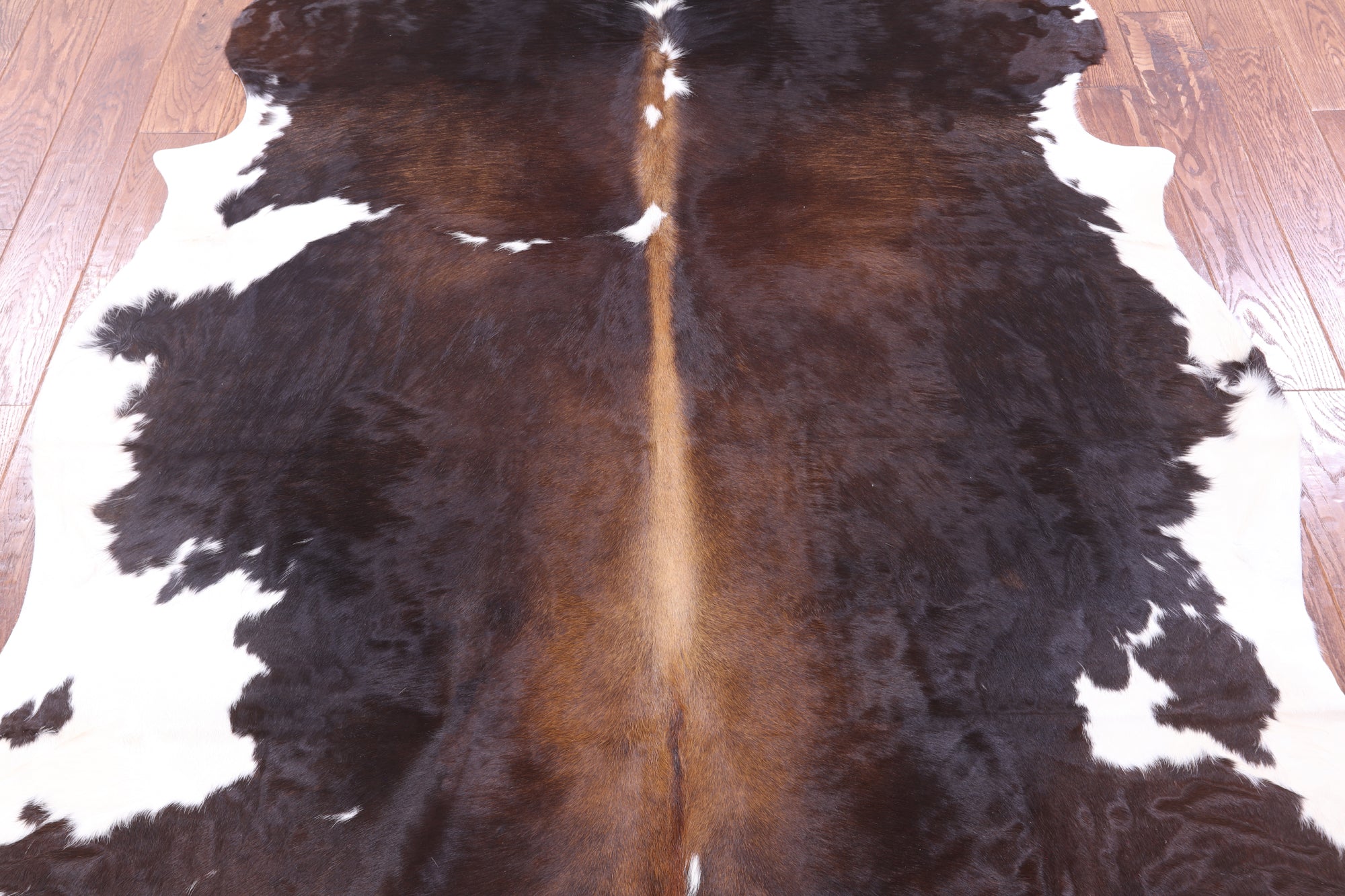 Natural Hair-On Cowhide Rug - 7' 2" X 5' 11" - Golden Nile