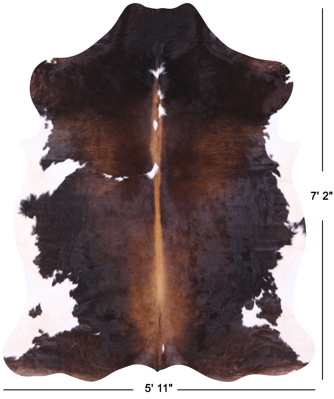 Natural Hair-On Cowhide Rug - 7' 2" X 5' 11" - Golden Nile